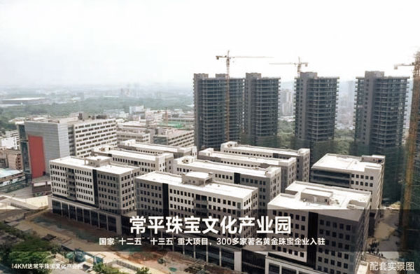 广东威莱仕科技有限公司办公区